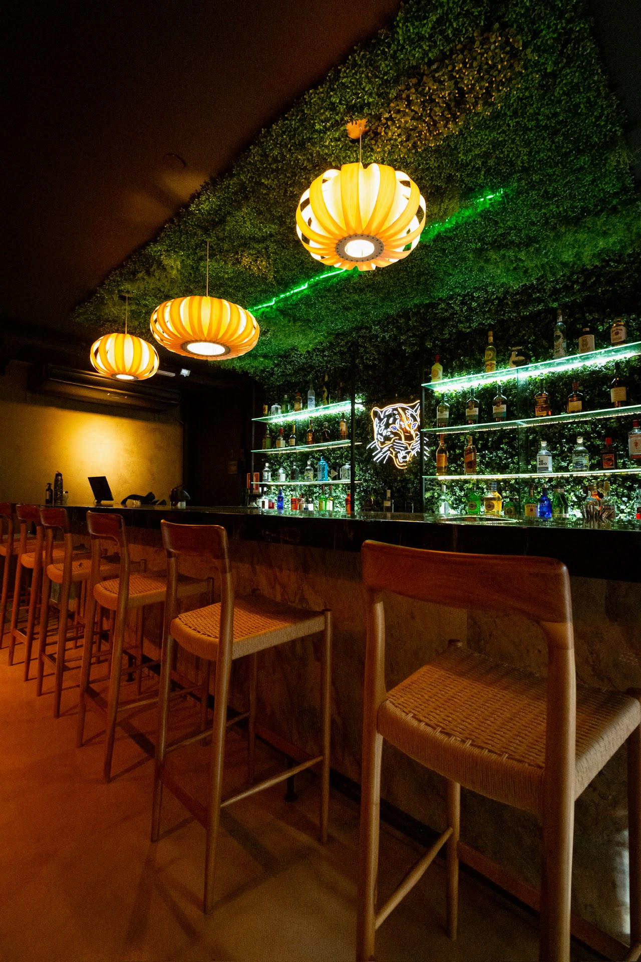 Selva Mía Interior